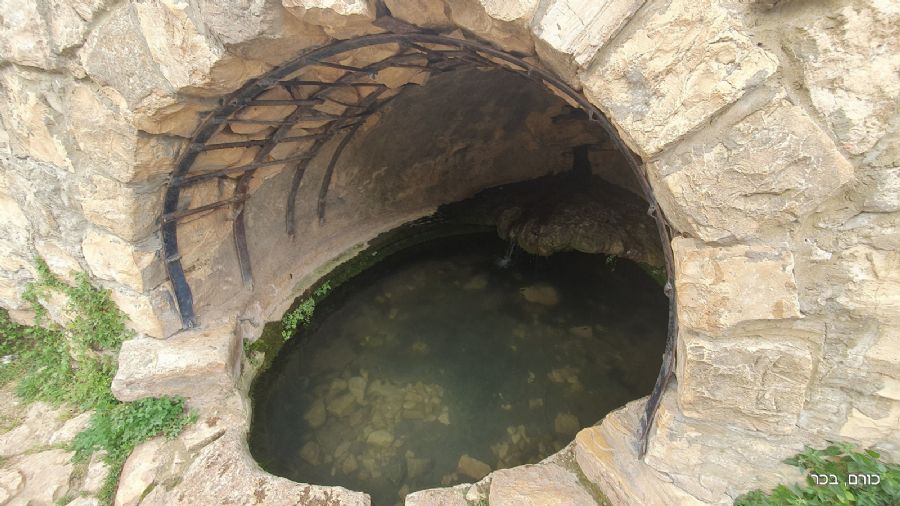 עין חותם